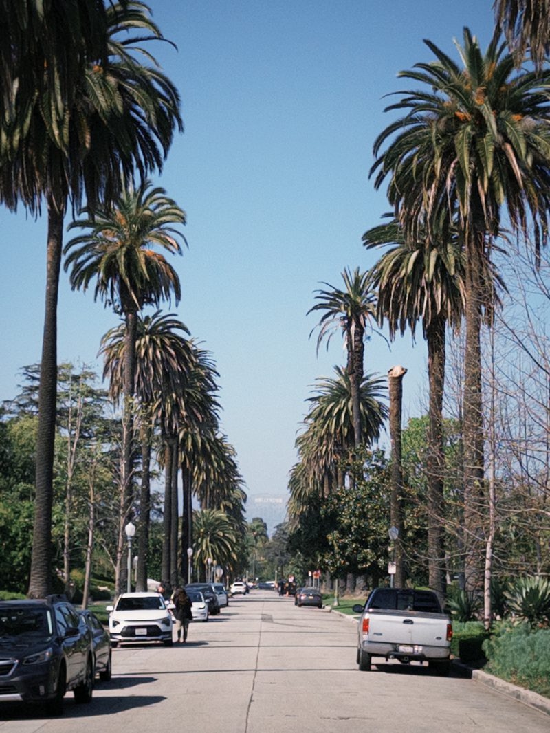 Beverly Drive