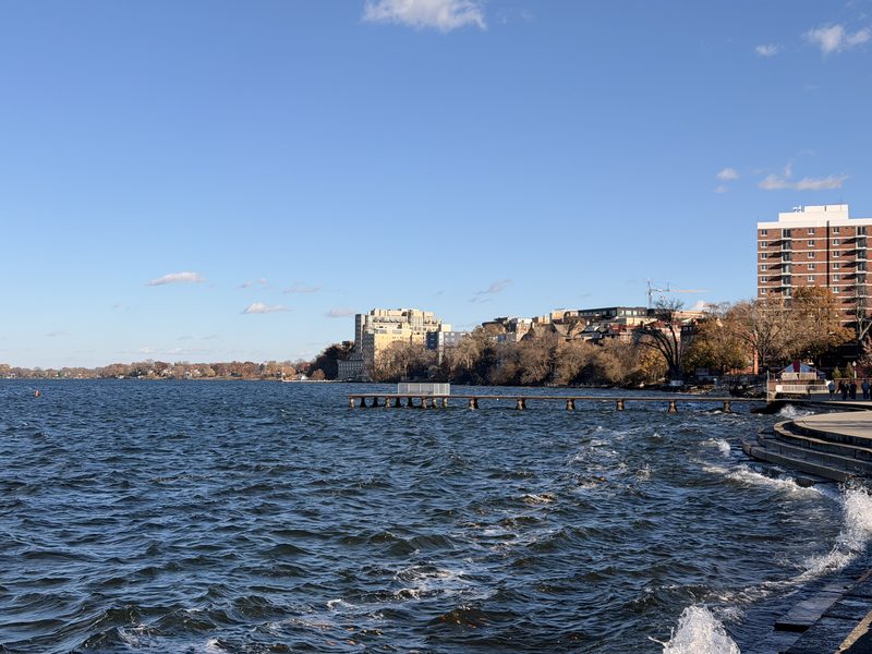 Whitecaps on Mendota