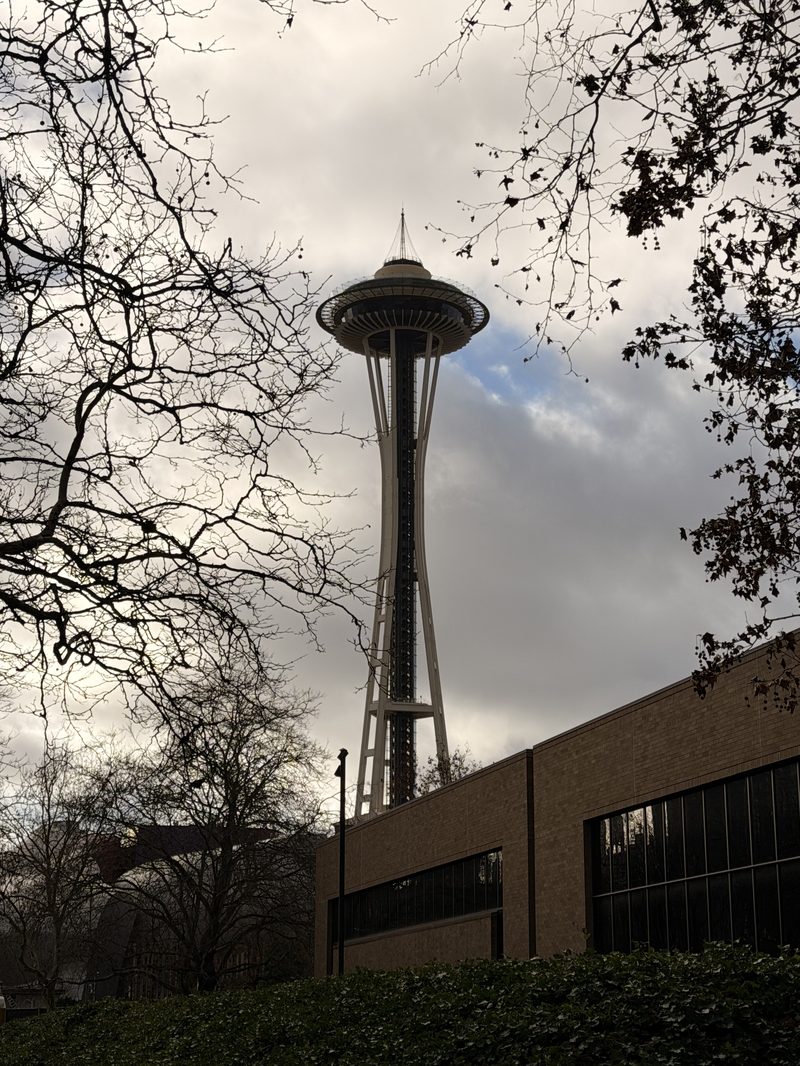 Needle in the Clouds