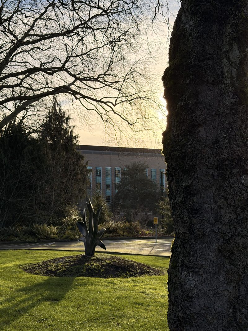 Sculpture at Golden Hour